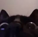 hello