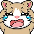 Crycatx