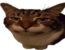 sup