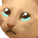 waltercatcryzoom