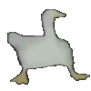 ducc