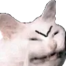 mad_cat