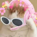 P_GamerCat Discord Emoji