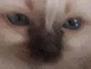 yes