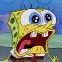 spongecry
