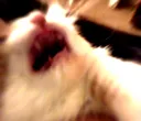 aaAAAA