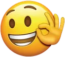 OKHandEmoji256