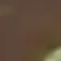 melon1