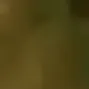 melon24 melon24