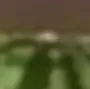 melon3 melon3