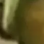 melon11