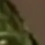 melon10