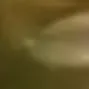 melon17