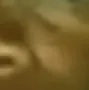 melon14 melon14