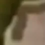 melon20 melon20