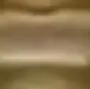 melon18