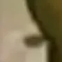 melon16
