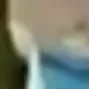 melon25 melon25