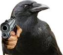 crowcapped crowcapped