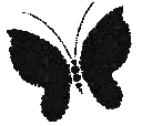 ghl_btrflyBlack