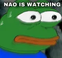 NaoIsWatching