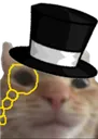 SwagFancy