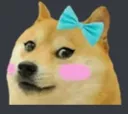 cutedoge