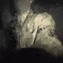 JackPunch
