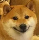 shibegrin shibegrin