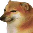 cheems