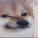ds_heh