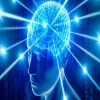 universe_brain