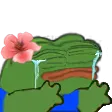 pepecryhug