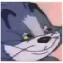 pp_tom pp_tom