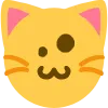 puncat puncat