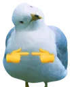 isformeeuw isformeeuw