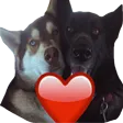 agitapHeart agitapHeart