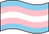 transflag