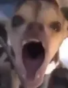 OOOOOOOOOOOOOOOOOO