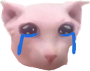 sad_bingus Discord emoji