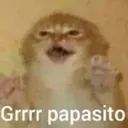 papasito