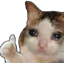 catthumbs Discord emoji