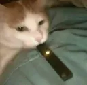 dremexplrr
