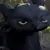 toothlessugh