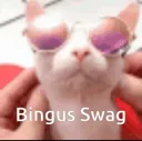 bingus_sunglasses