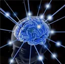 bigbrain