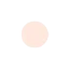 bullet_dot5
