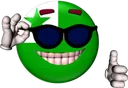 sunglasoj sunglasoj