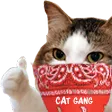 CatGang Discord Emoji