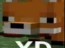 xD